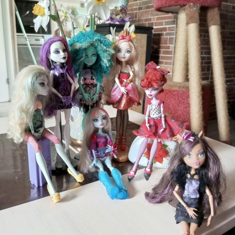 Продам коллекцию кукол монстр хай ,7 кукол – купить в Морозове, цена 1 ...