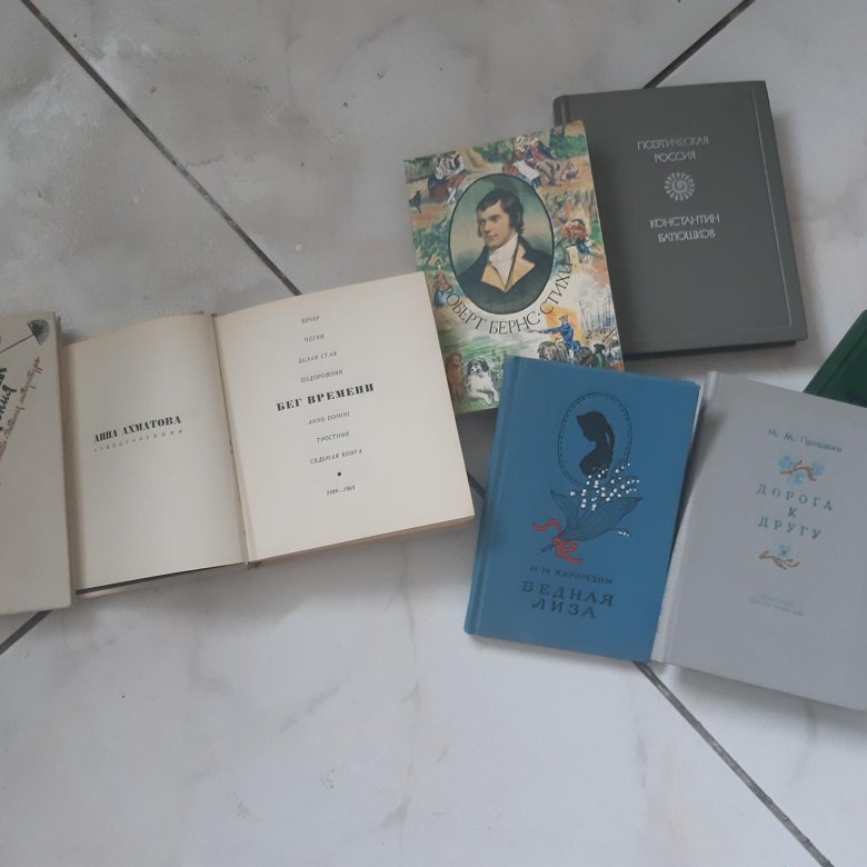 Антология русской поэзии. С. Книги поэзия. Серебряный век русской поэзии книги. Лихачев поэзия садов 1982.