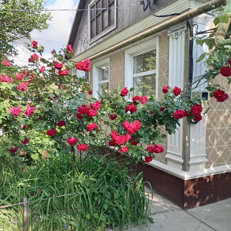 Сборный дом в Витязево цена