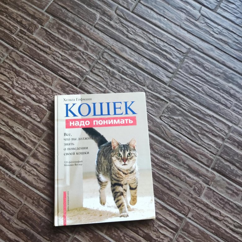 Хроники Странствующего Кота Купить Книгу