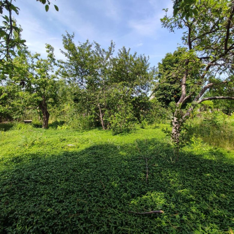 Участок, 18 сот., сельхоз (снт или днп) – купить в Волгограде, цена 420 ...