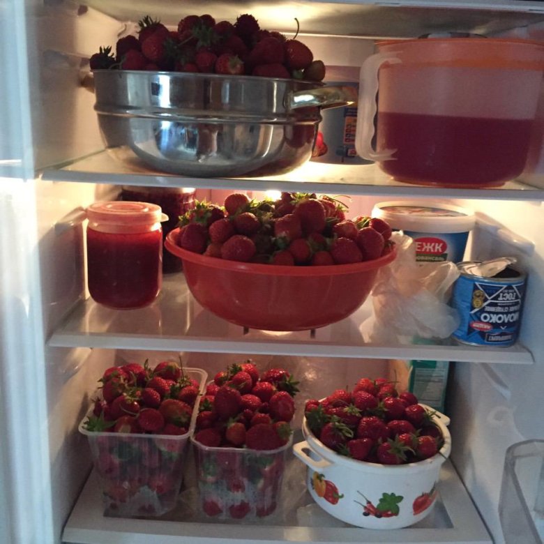 Кустики и усы клубники – купить в Нижневартовске, цена 25 руб., дата ...