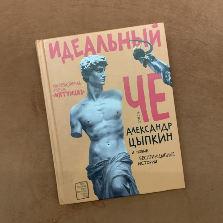 Цыпкин книги