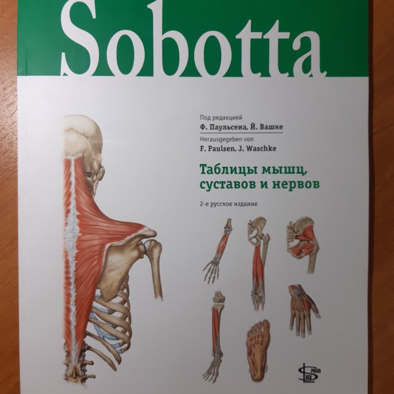 Первый атлас анатомии. Sobotta атлас анатомии человека купить.