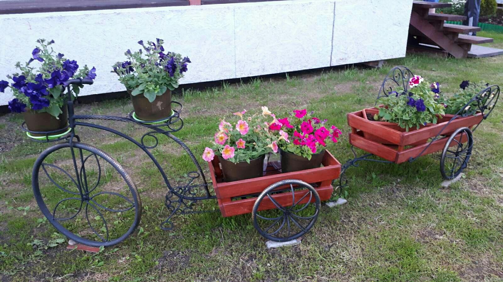 Куфар Бай Купить Комнатные Цветы Слоним