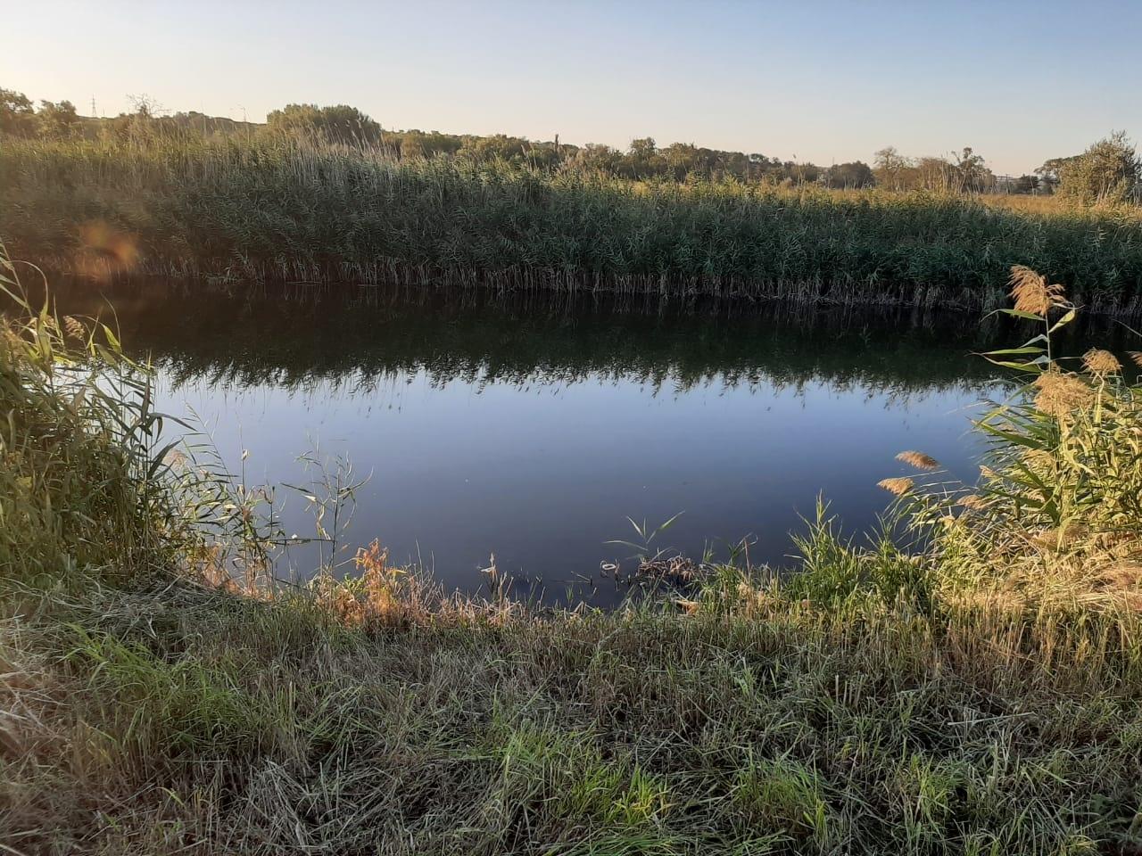 Участок, 13 сот., поселения (ижс), цена 1500000 руб. купить в Новочеркасске