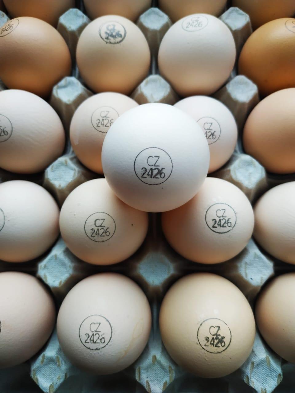 Инкубационное яйцо бройлеров Европа - фотография № 1