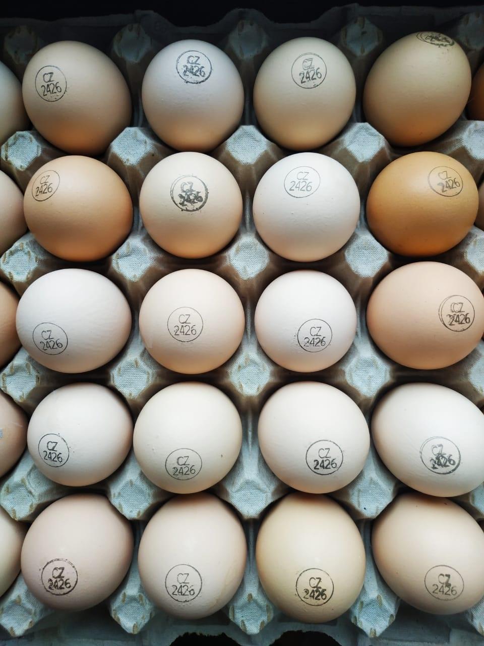 Инкубационное яйцо бройлеров Европа - фотография № 2