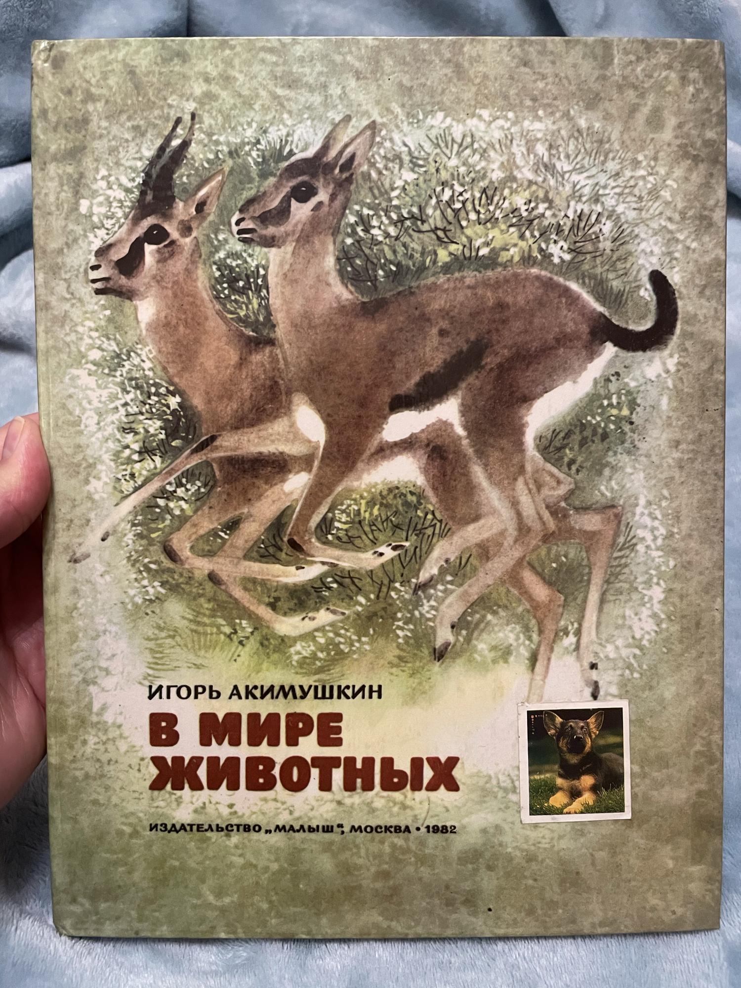 Акимушкина следы невиданных зверей. Акимушкин животные строители. Акимушкин.