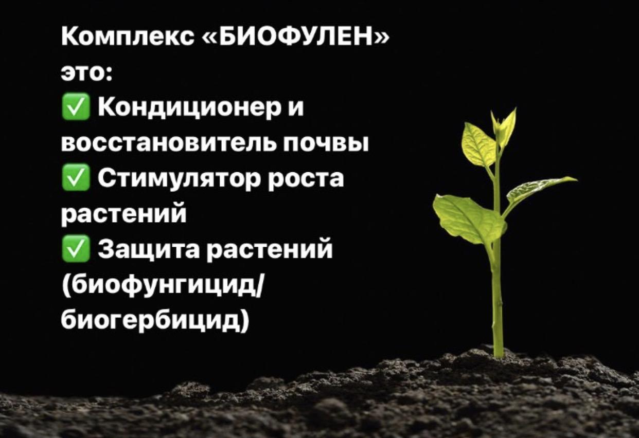 Натуральное удобрение , стимулятор роста растений - фотография № 9