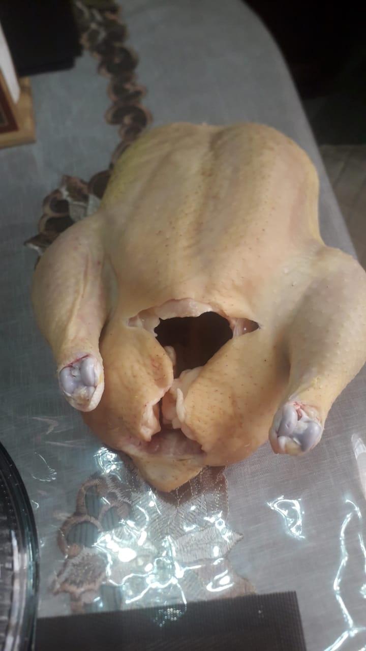 Курица домашняя мясной породы - фотография № 2