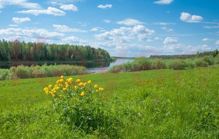 Купить Земельный Участок В Гостагаевской Под Ижс