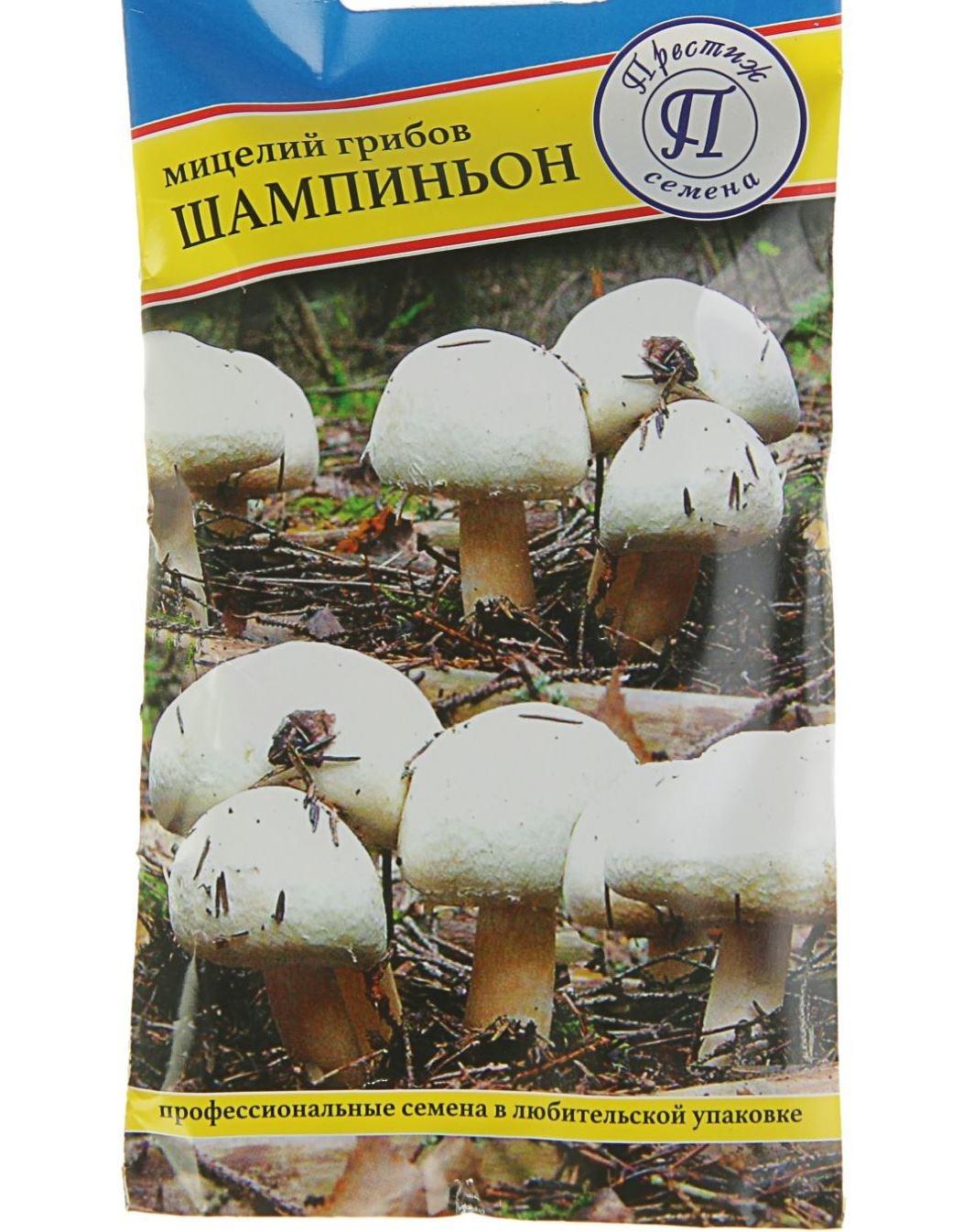 Мицелий грибов ( разных сортов) - фотография № 1