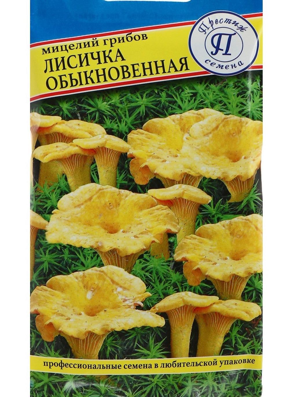 Мицелий грибов ( разных сортов) - фотография № 3