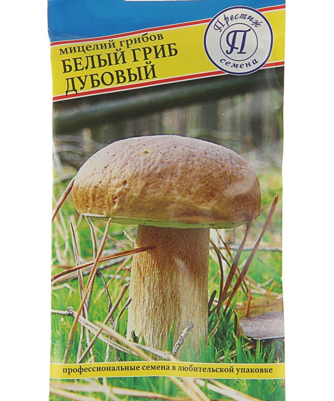 Мицелий грибов ( разных сортов) - фотография № 4