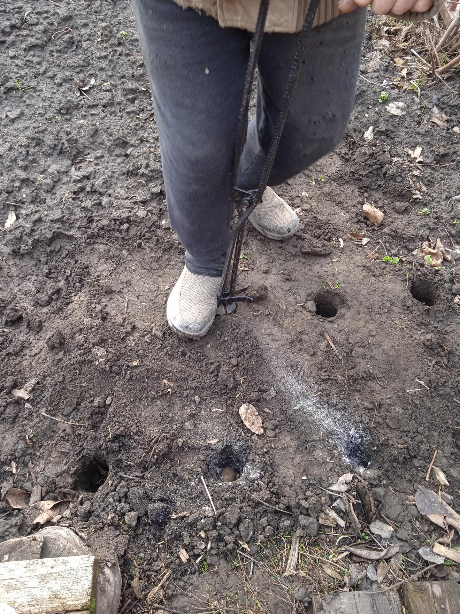 Помощник для посадки чеснока, лука, редьки. Assistant for planting garlic, onion, radish