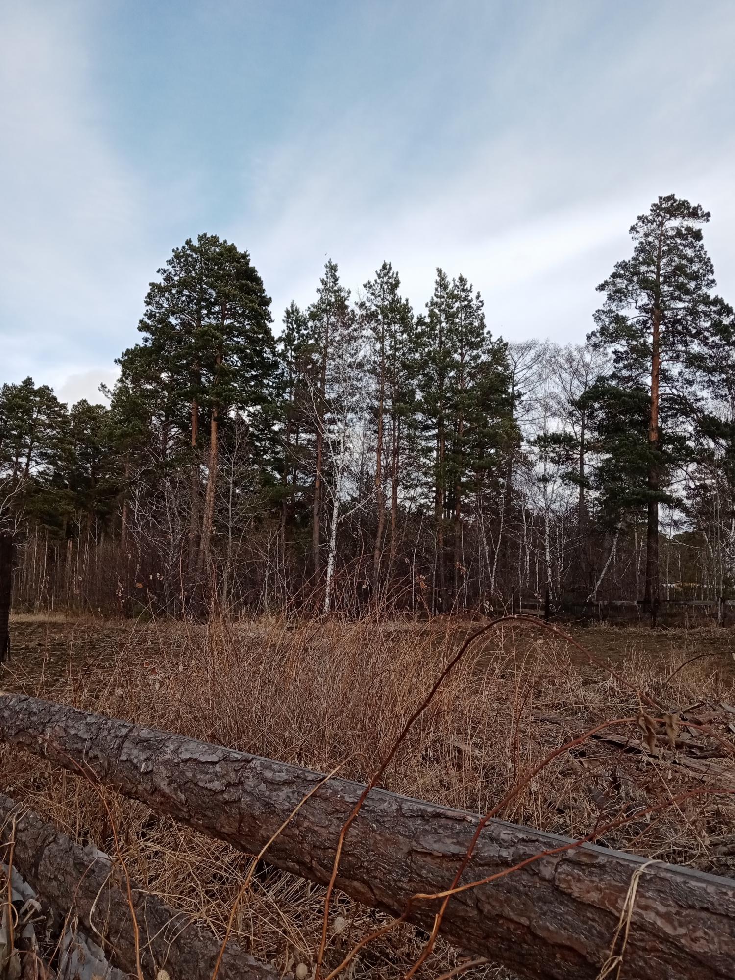 Земля ангарская. Ангарск Южный массив спе с прйомник.