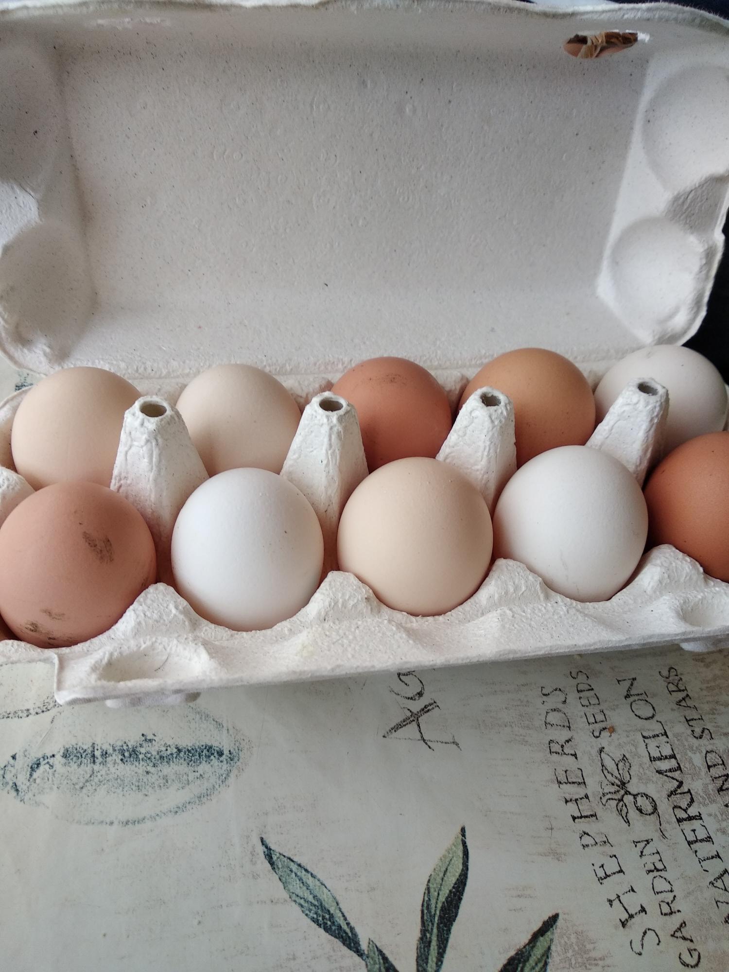 Купить инкубационное яйцо кучинской. Яйцо гусиное инкубационное. Маркировка инкубационного яйца f7203. Книги про инкубацию яиц. Печать на яйце Биг 6 Словения.