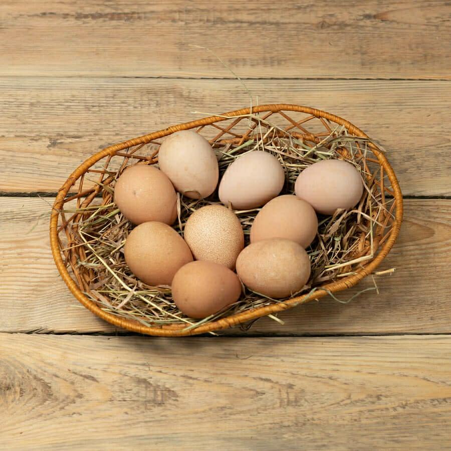 Инкубационные яйца цесарок - фотография № 3