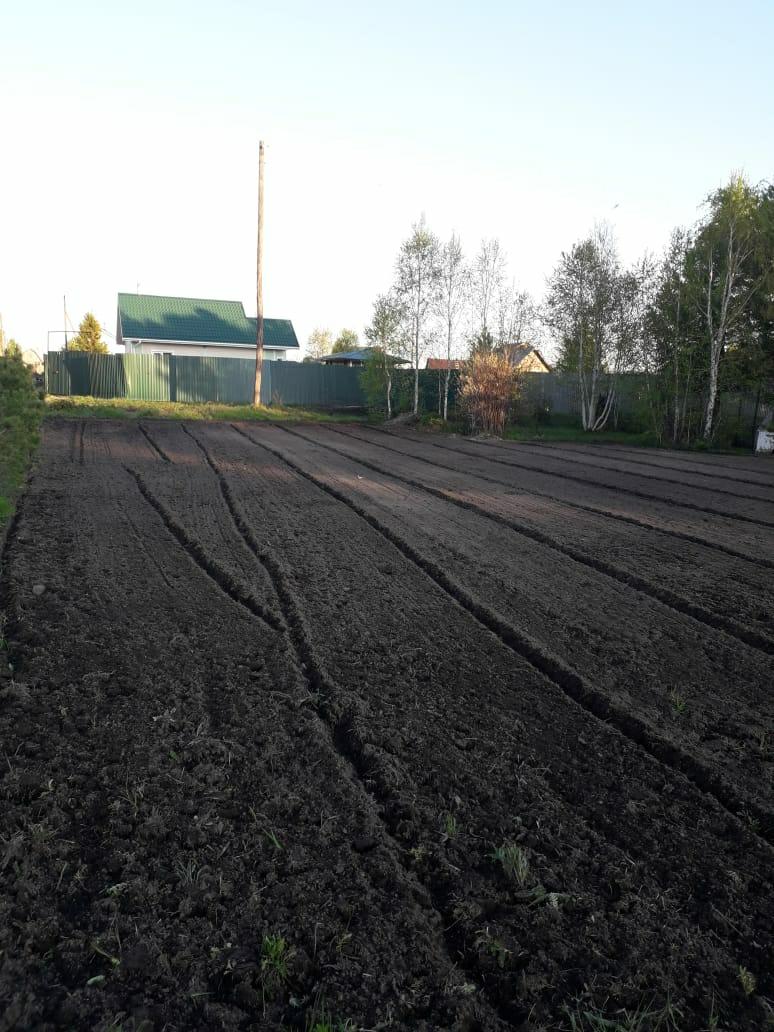 Земля ангарская. Архиреевка Ангарск. Архиреевка. Автобус до Архиреевки Ангарск.