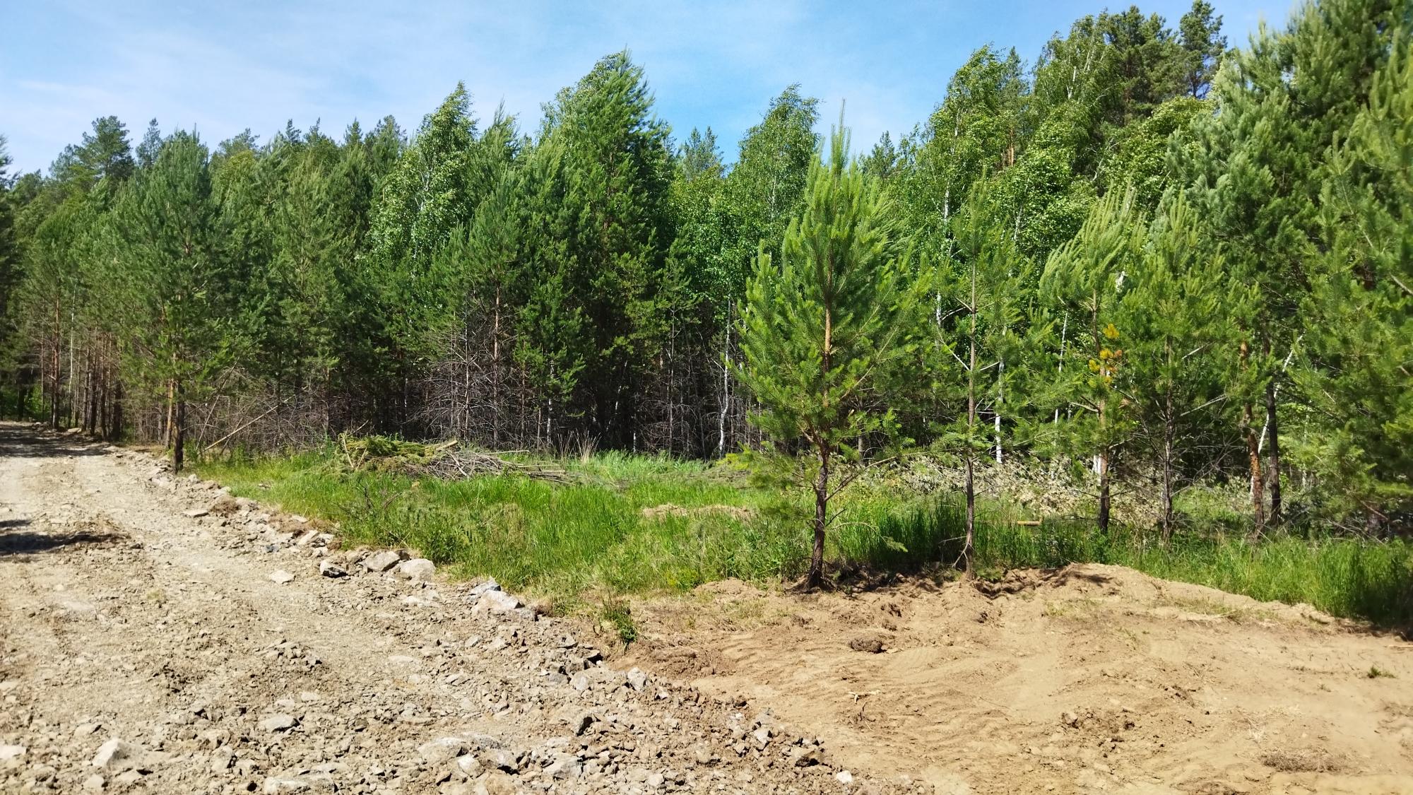 Купить Землю Сельхозназначения В Свердловской Области