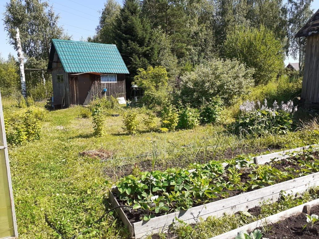 Участок, 6 сот., сельхоз (снт или днп), цена 120000 руб. купить в Череповце