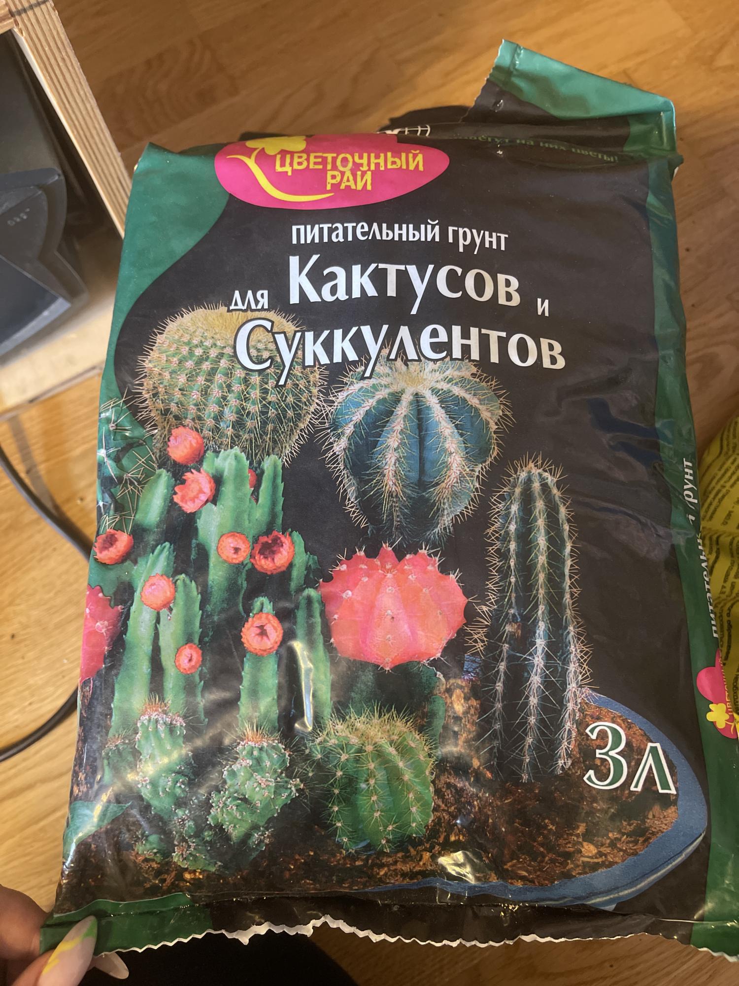 Питательный грунт для кактусов и сукулентов