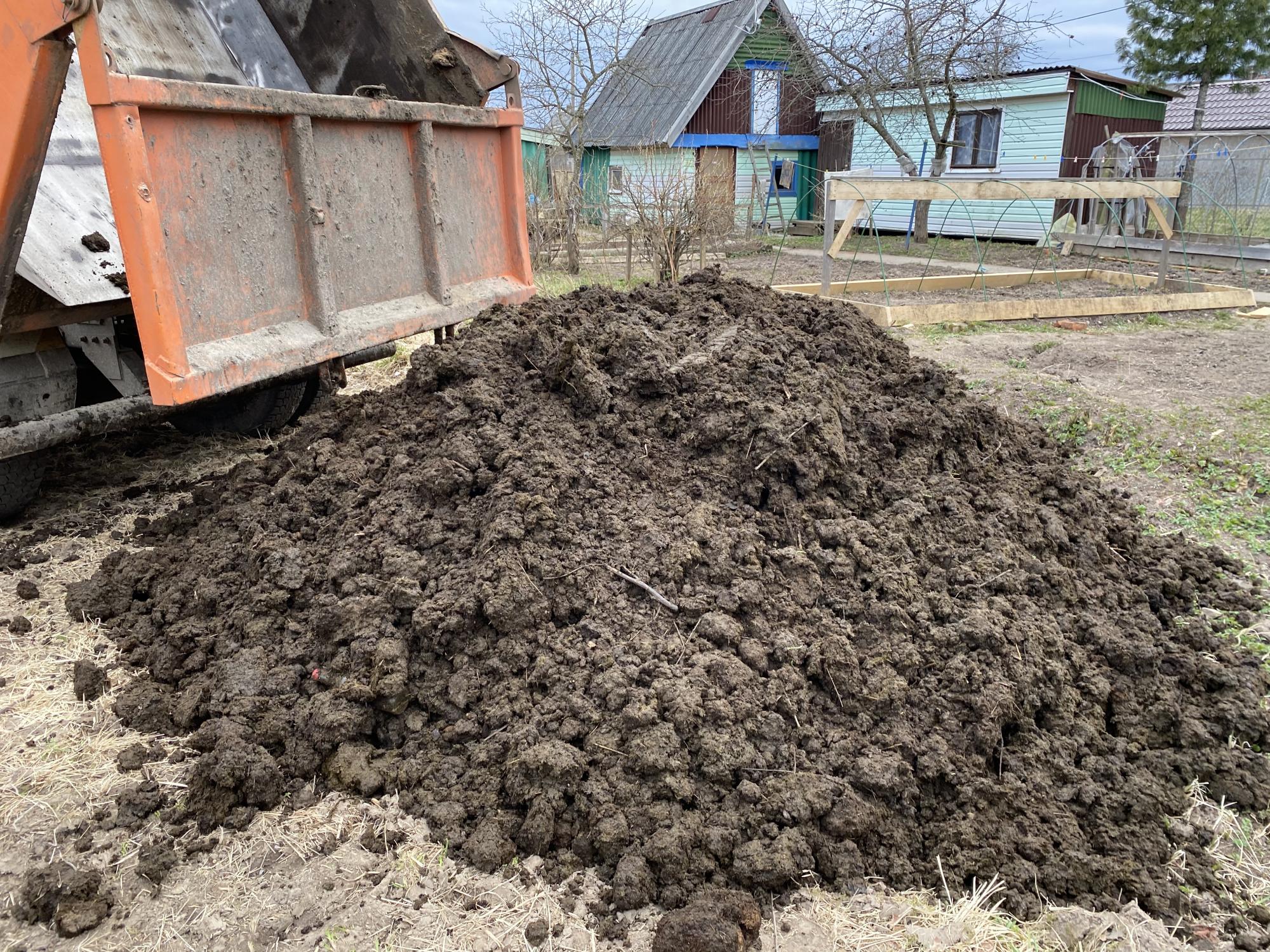 К чему снится убирать навоз. Коровий перегной для грядок. К чему снится убирать навоз. К чему снится убирать навоз. Роговой навоз.