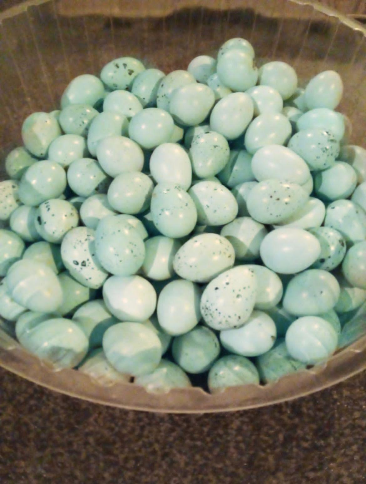 Перепела Селадон (зелено-голубое яйцо) - фотография № 2