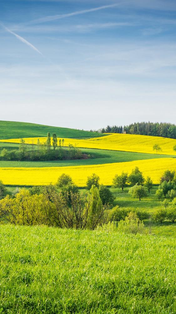 Участок, 5 сот., поселения (ижс)