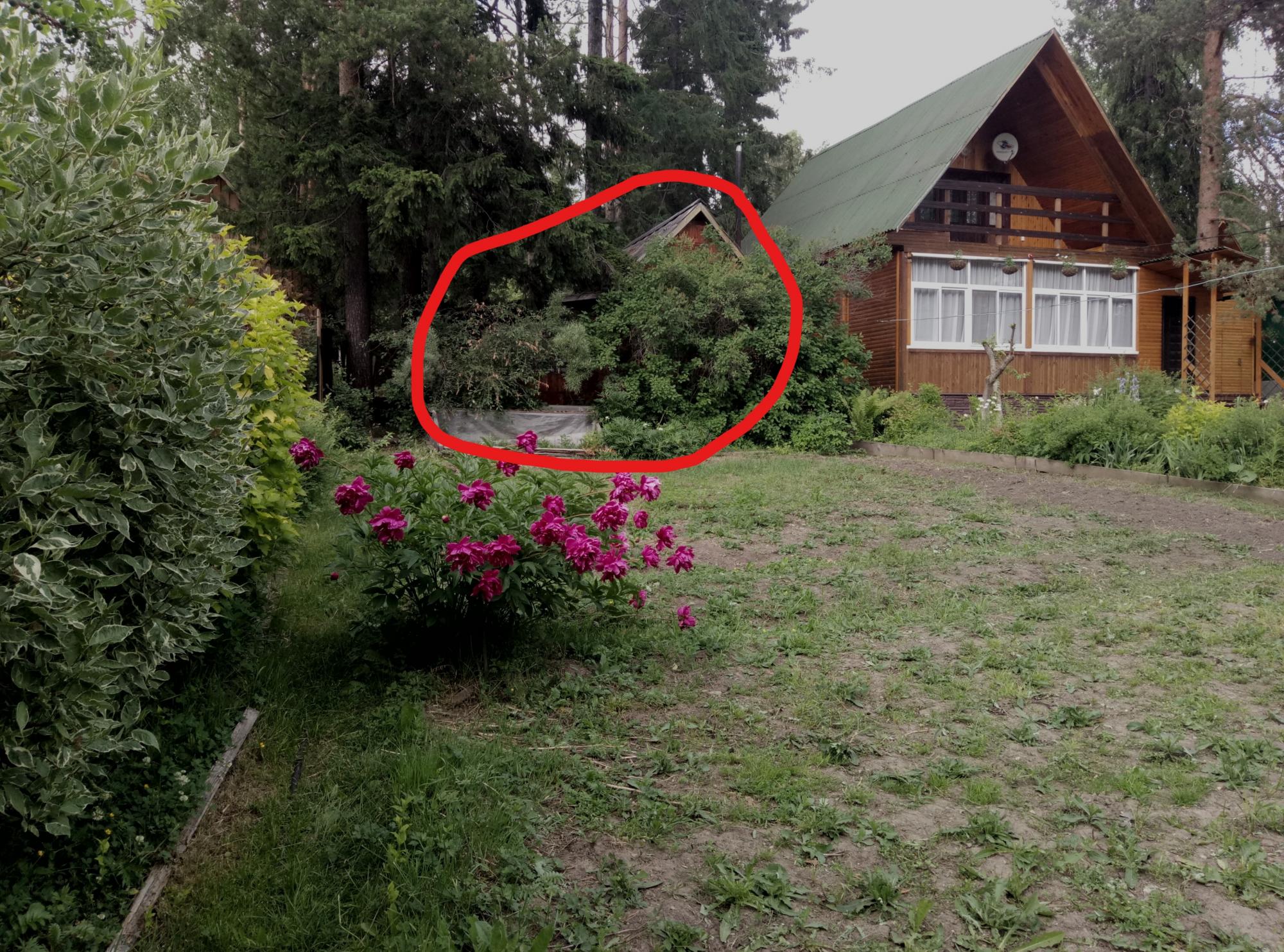 Купить Сад В Серове Свежие Объявления