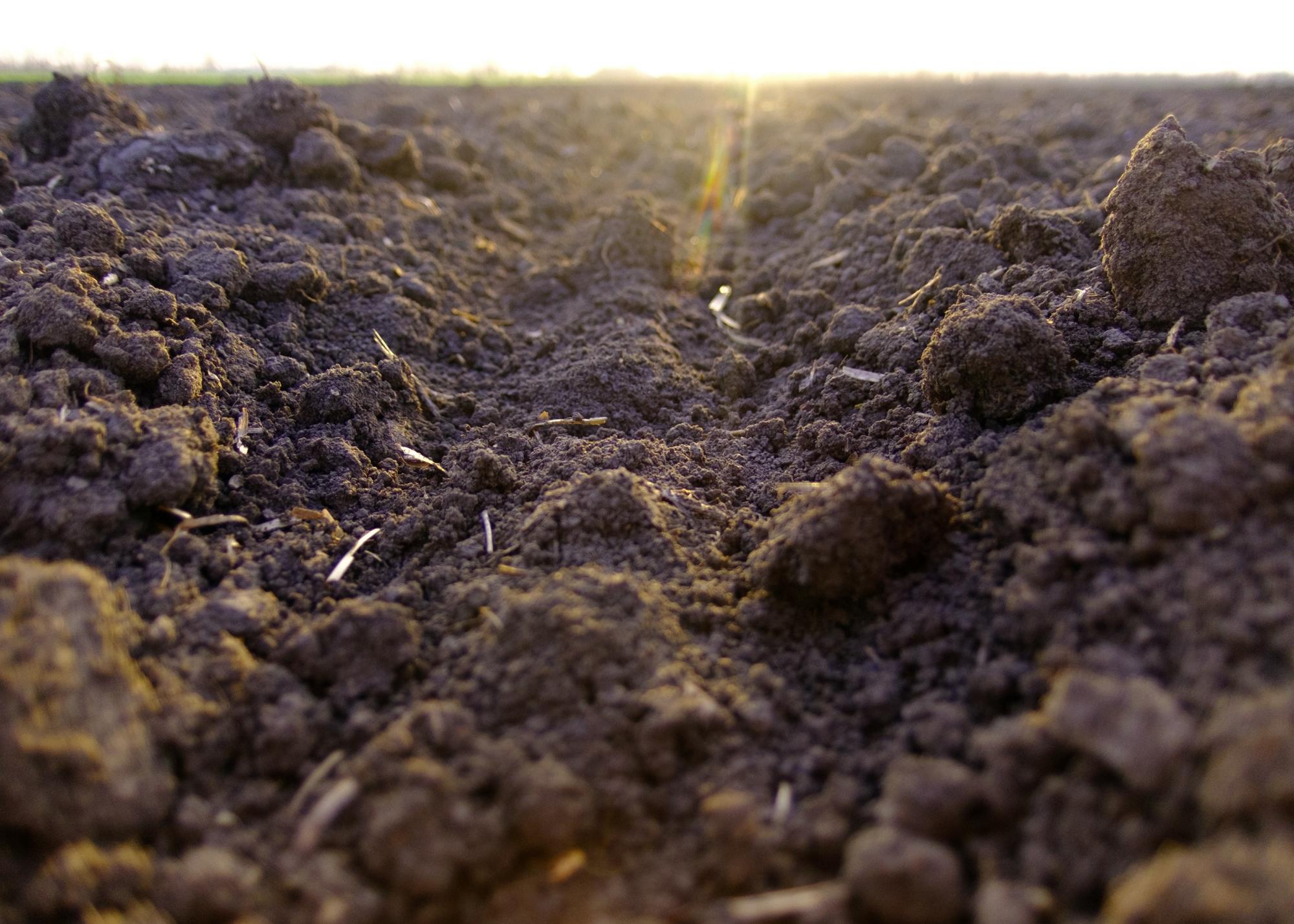 Перегной гумус образуется из. Чернозем полевой. Земля грунт. Черноземные почвы. Плодородная земля.