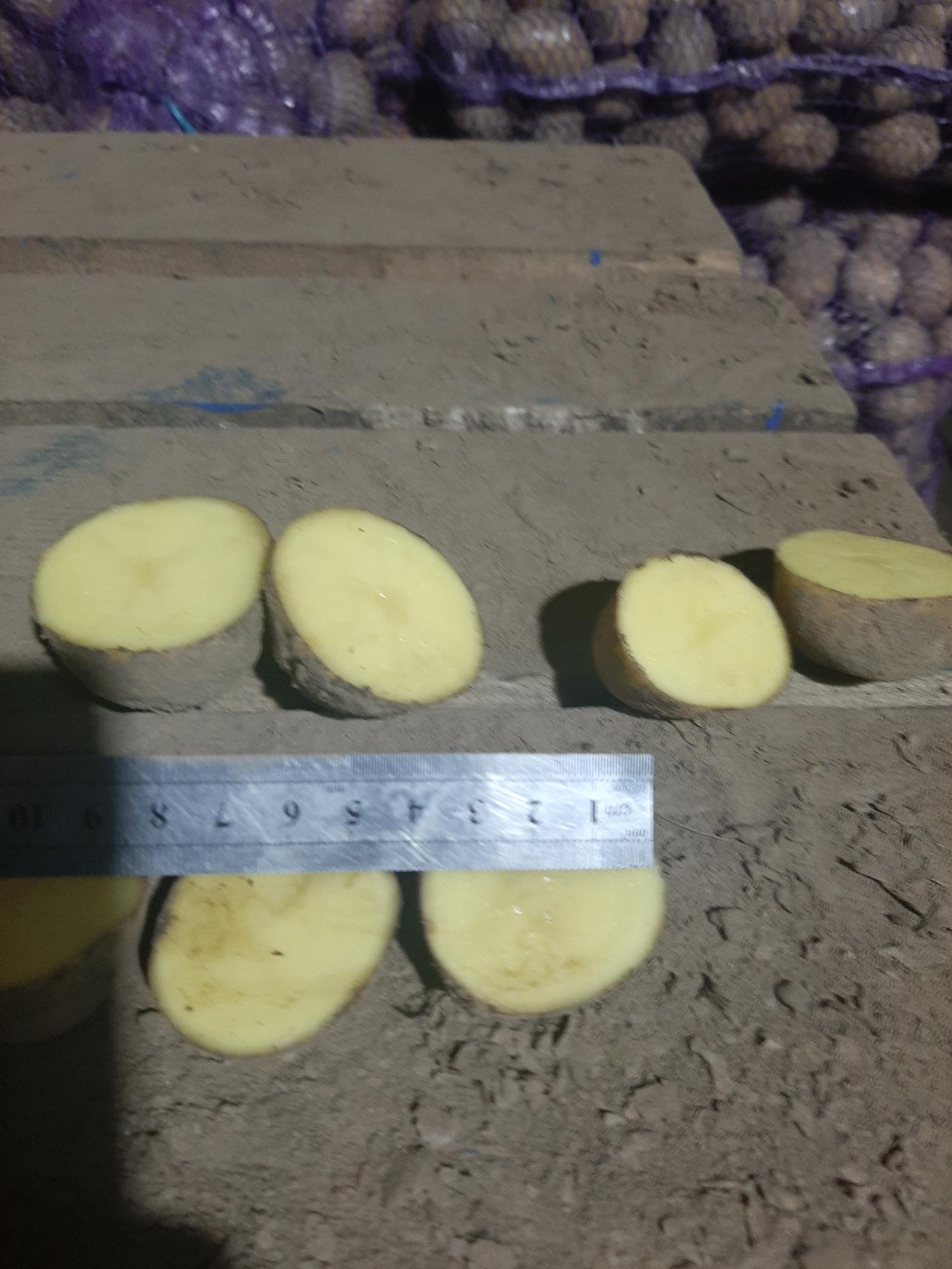 Картофель, лук, грибы, чеснок - фотография № 5
