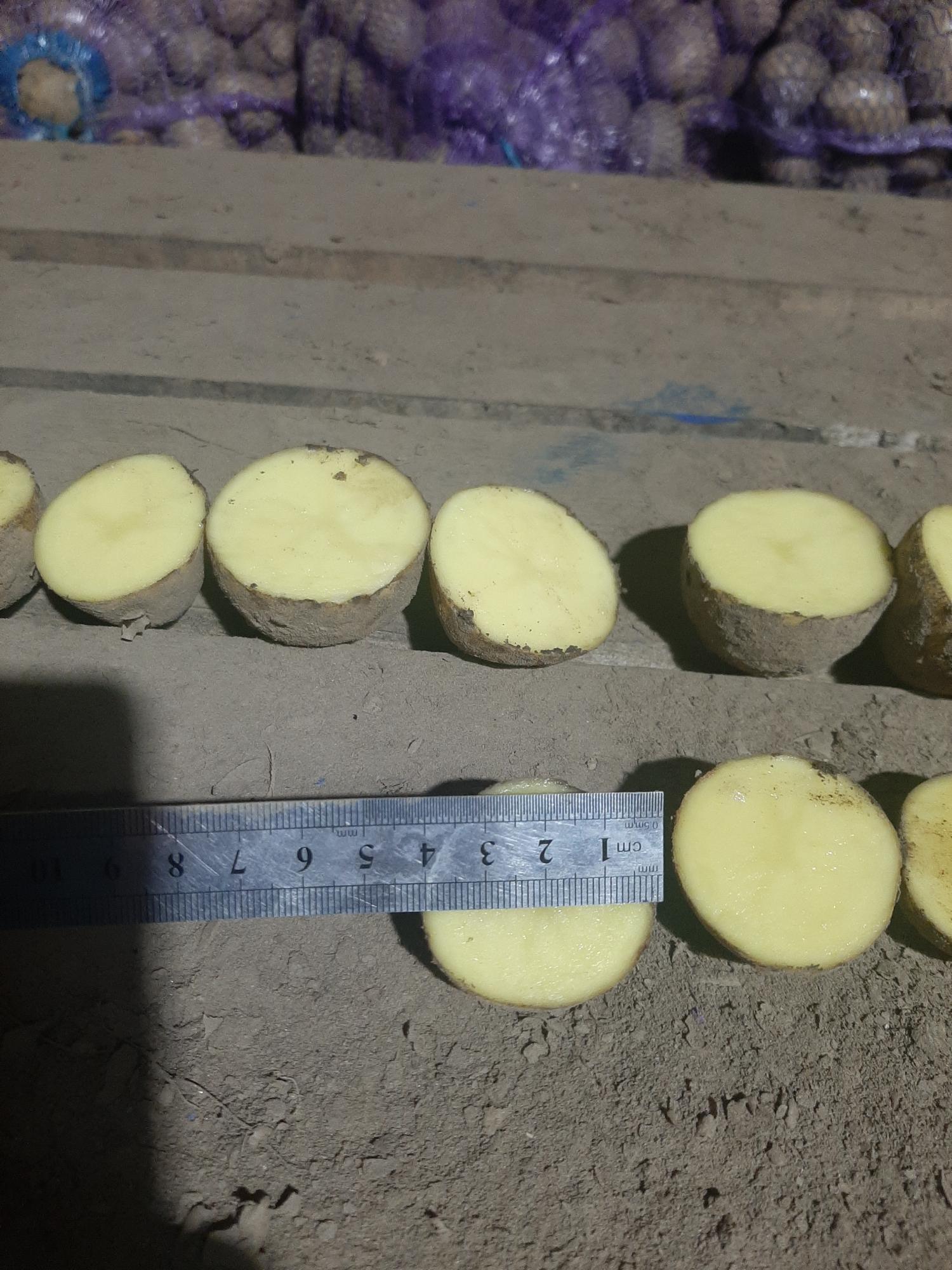 Картофель, лук, грибы, чеснок - фотография № 6