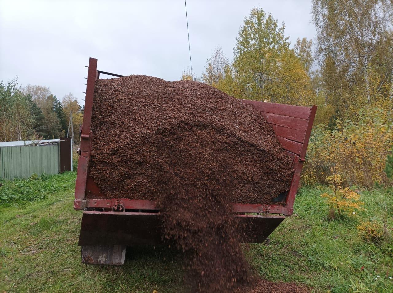 Шелуха кедровая, Мульча., цена 3800 руб. купить в Томске