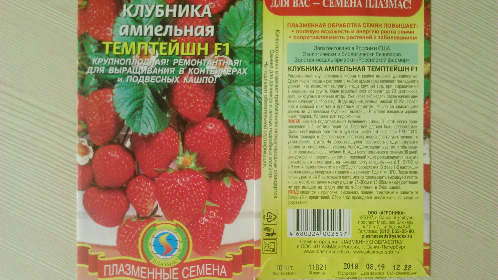 Приствольные круги как «колыбель» для рассады клубники и не только | посуДАЧИм об огороде | Дзен