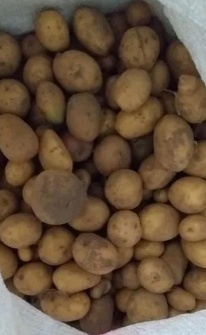 Картофель, лук, грибы, чеснок