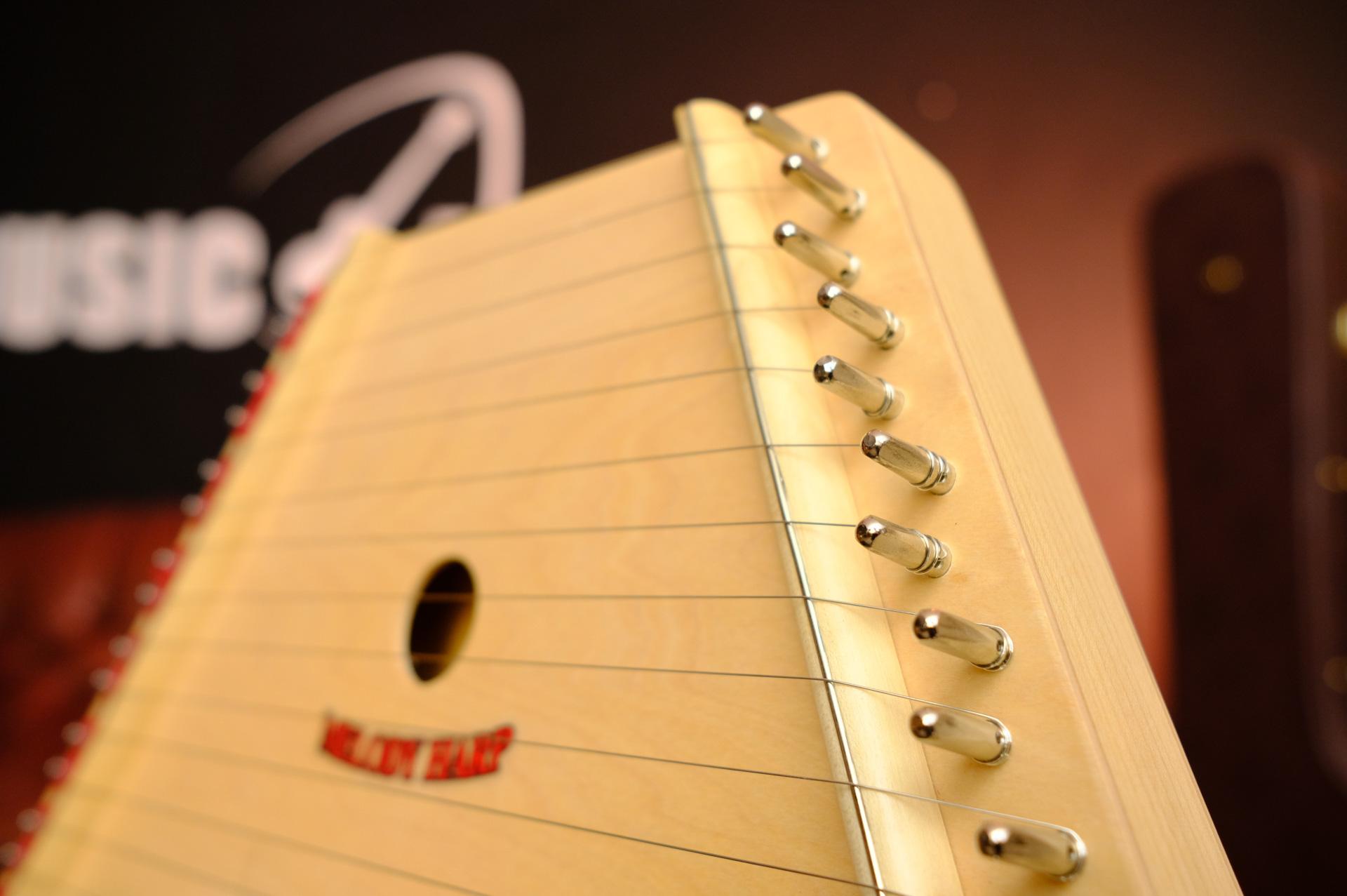 15 струнная бас гитара. 15 струн. 15 струн. самые толстые струны на гитару. пятнадцати струнная гитара василия лебедева.