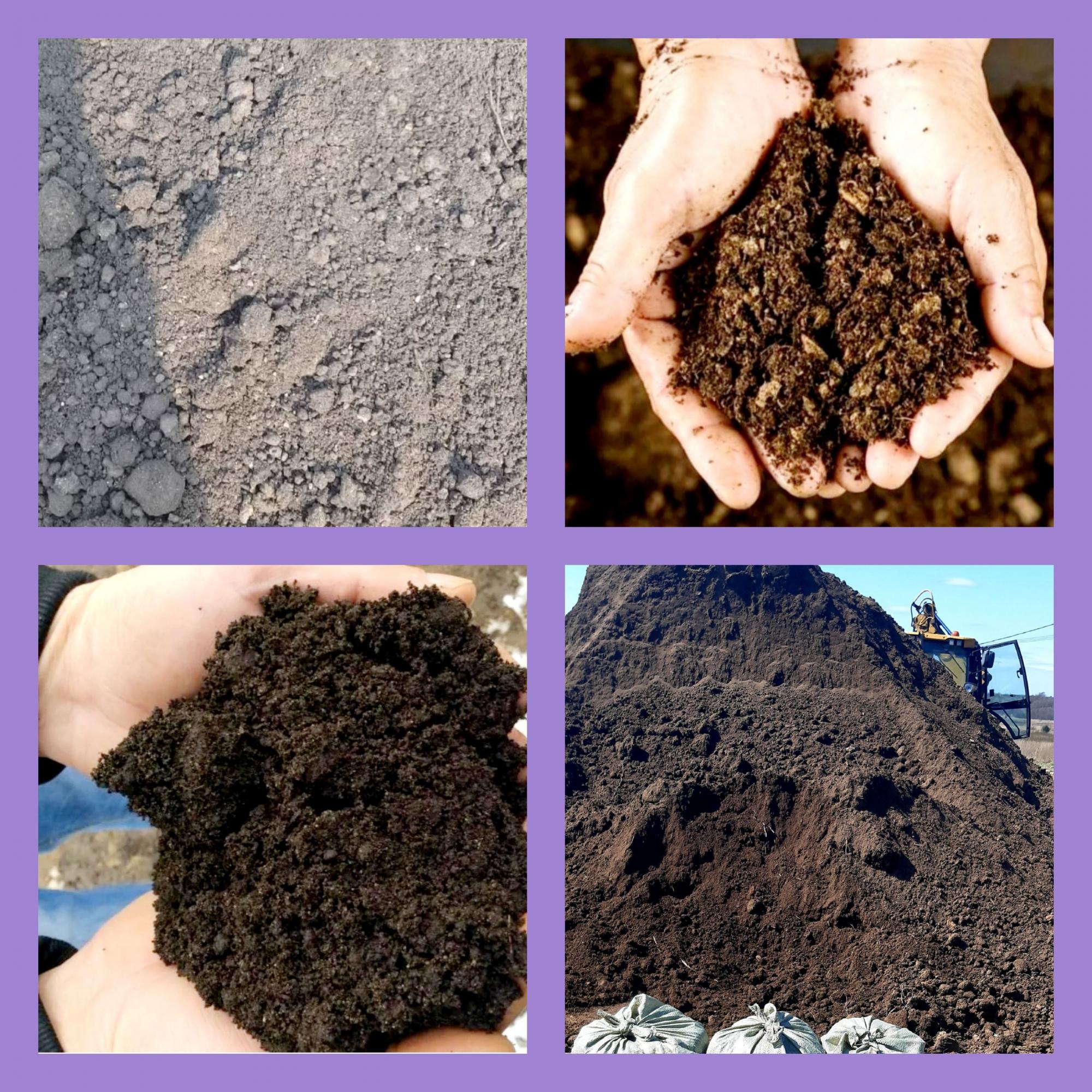 Земля торф. Что входит в перегной. Что такое почвенный перегной. Что такое гумус почвы. Перегной растительного происхождения.