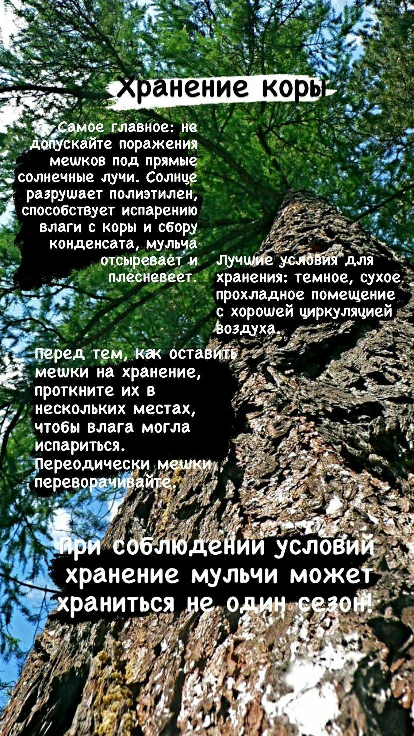 Кора сибирской лиственницы щепа крашенная - фотография № 1