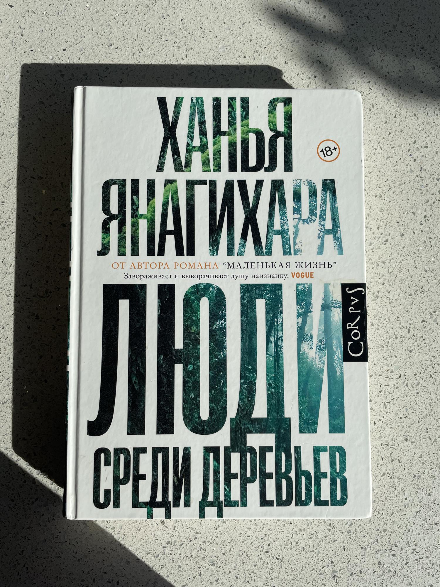 Маленькая жизнь ханья янагихара кратко. Маленькая жизнь Ханья Янагихара книга. Маленькая жизнь Ханья Янагихара книга отзывы. Маленькая жизнь Ханья Янагихара аудиокнига слушать.