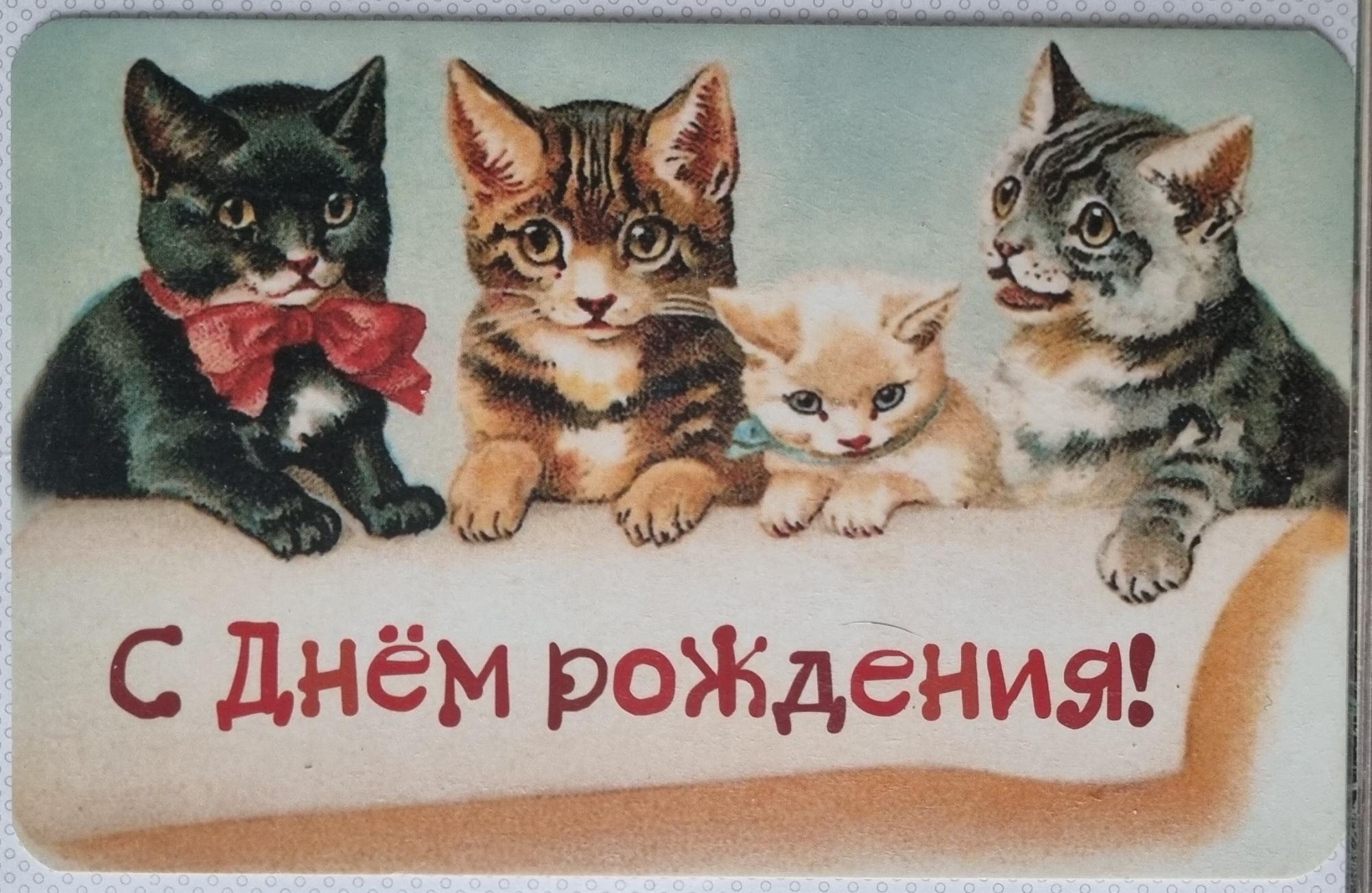 С днем рождения коты