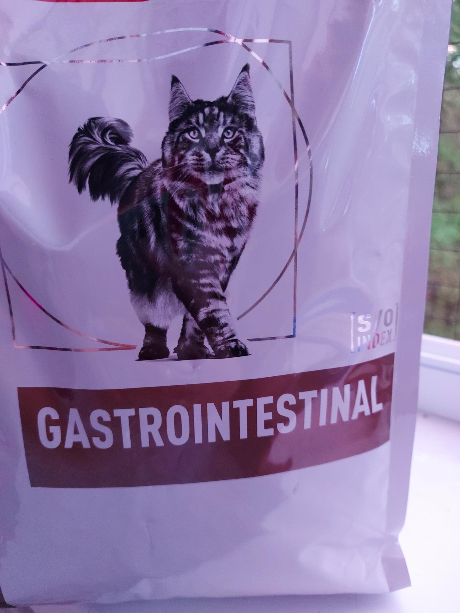 Royal canin gastrointestinal для кошек 2 кг. Трамвет для кошек. Трамвет для кошек дозировка. Трамвет для кошек инструкция уколы. Трамвет для собак.