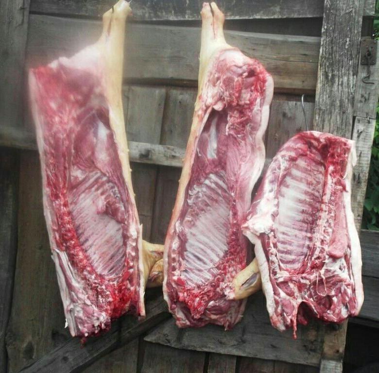 Продам мясо свинины
